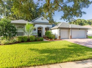 3823 Misty Landing Dr, Valrico, FL 33594