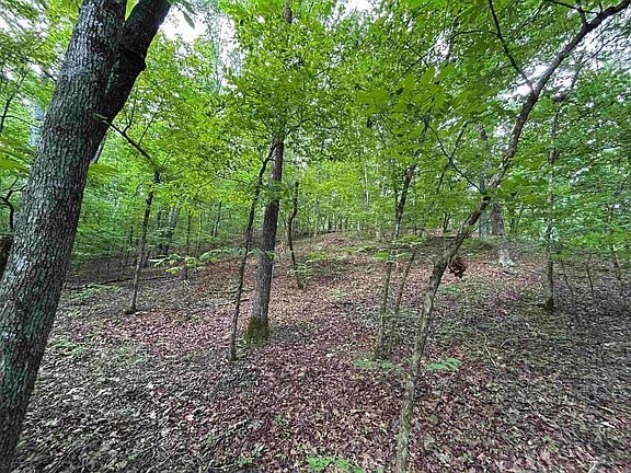 3rd image of Polk Rd #612