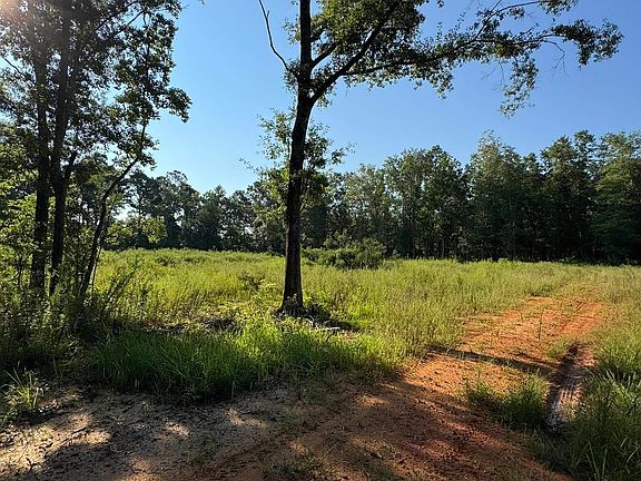 4th image of 16300 County Road 54 #1