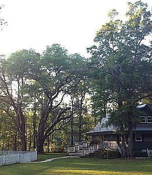 2nd image of 8408 Little Scenic Ln