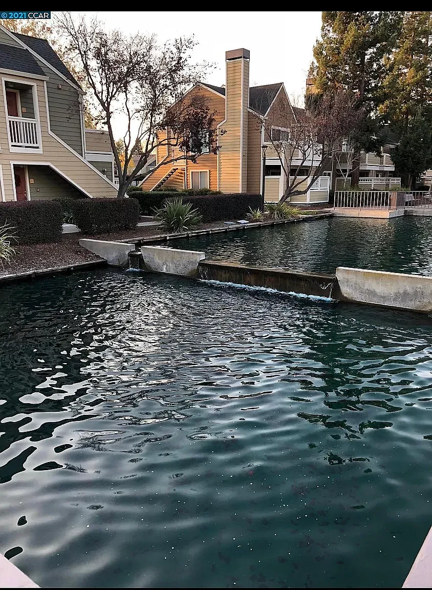1 bed, 624 sqft, $2,350 — Photo 2