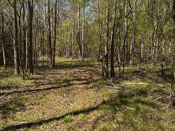 4th image of Camp Rd