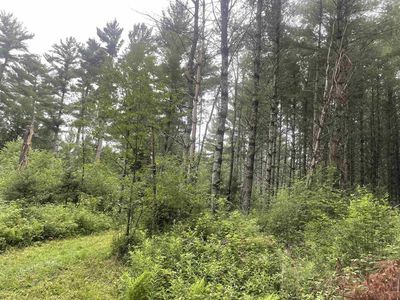 BEHNKE ROAD, Wausau, WI, 54403
