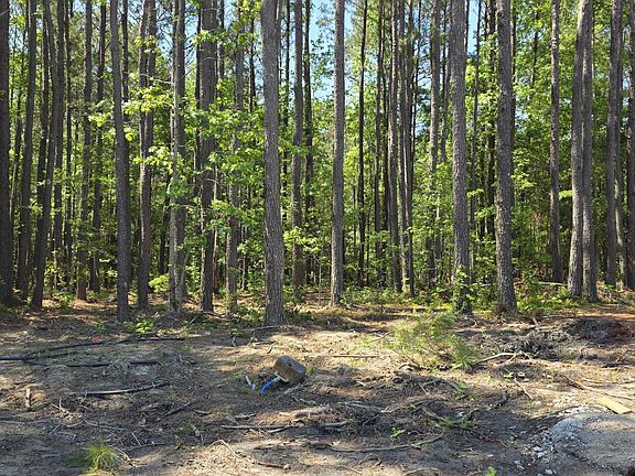 2nd image of 6783 Hanbury Pl SW Lot 116