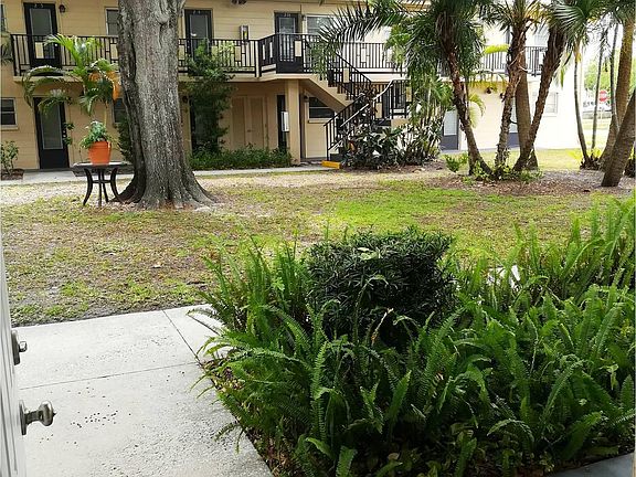 Rear Patio Garden