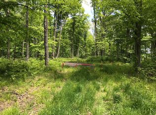 0 Ponozzo Rd, Iron River, MI 49935