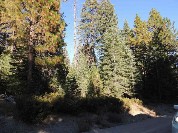 3 29 Fumarole Dr Lot C, McCloud, CA 96057