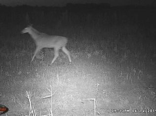 N Brushline Rd, Edinburg, TX 78542