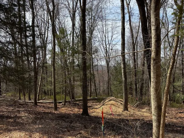 Lot 4 Chalybes Road West, Roxbury, CT 06783