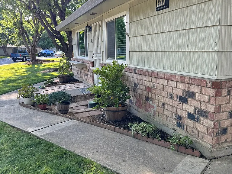 Breuner Dr — Photo 33