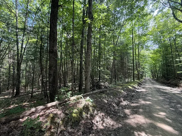 W Whitcomb Rd Lot Wp001, Barton, NY 13734