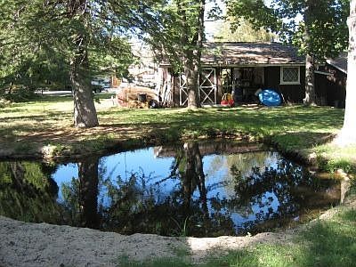 Pond and Backyard