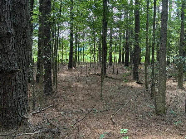 15 Highway, Ackerman, MS 39735