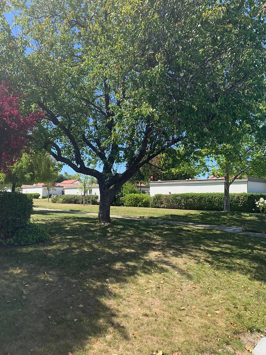 8148 Park Villa Cir photo 1