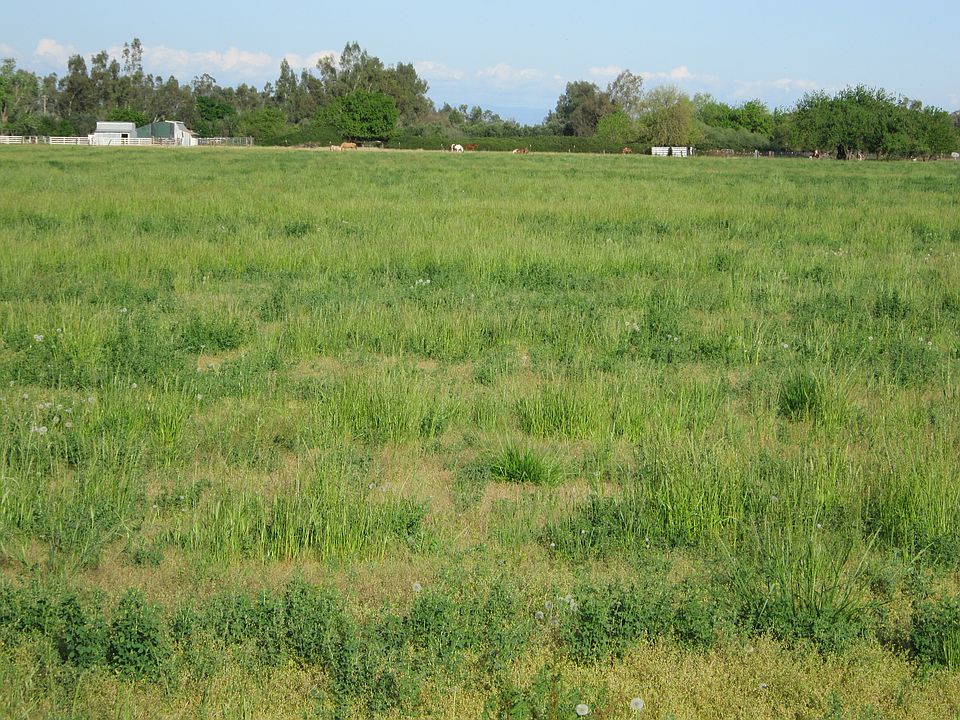 2nd image of 6282 County Road 23