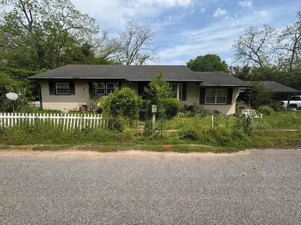 22 Edwards St, Newton, AL 36352