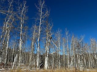 26865 Linda Kay Pl, Clark, CO 80428