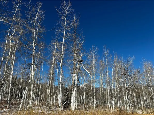 26865 Linda Kay Pl, Clark, CO 80428