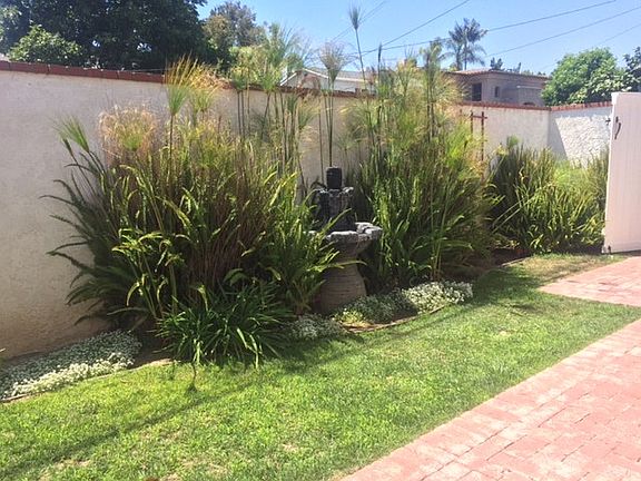 Yard/Patio with fountain