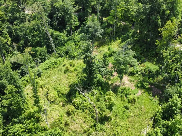 TRACT 3 Roe Ln, Winfield, TN 37892