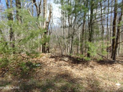 244 Retreat Dr, Crossville, TN, 38572