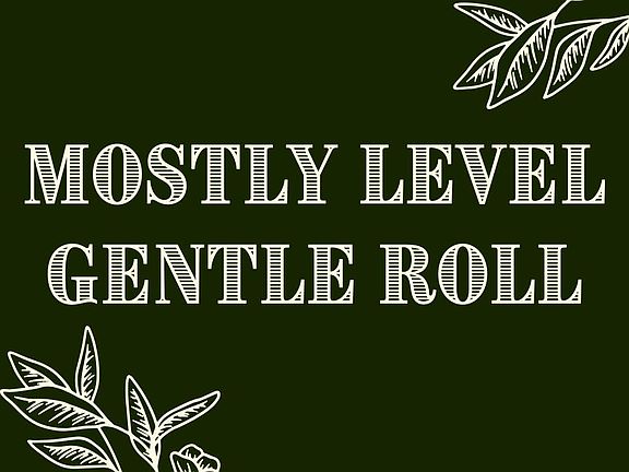 3rd image of 21+/- Acres Goldfinch Road