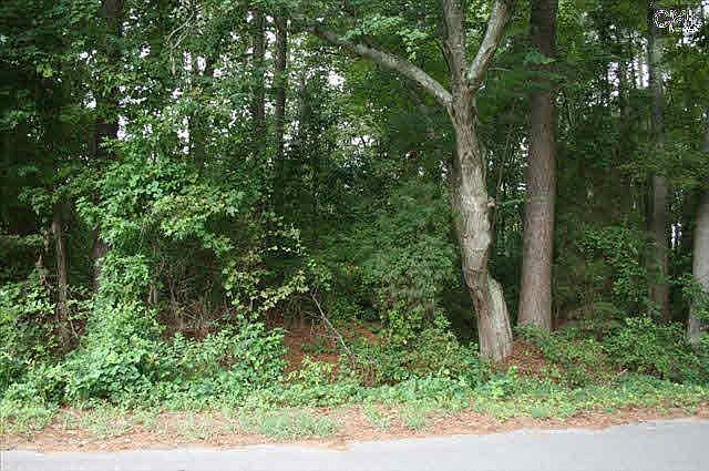 2nd image of 1619 Horseshoe Dr