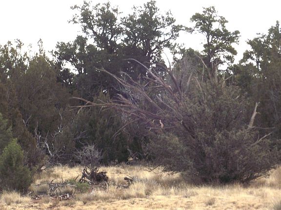 5th image of 4516 Parker Dr