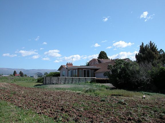Back View