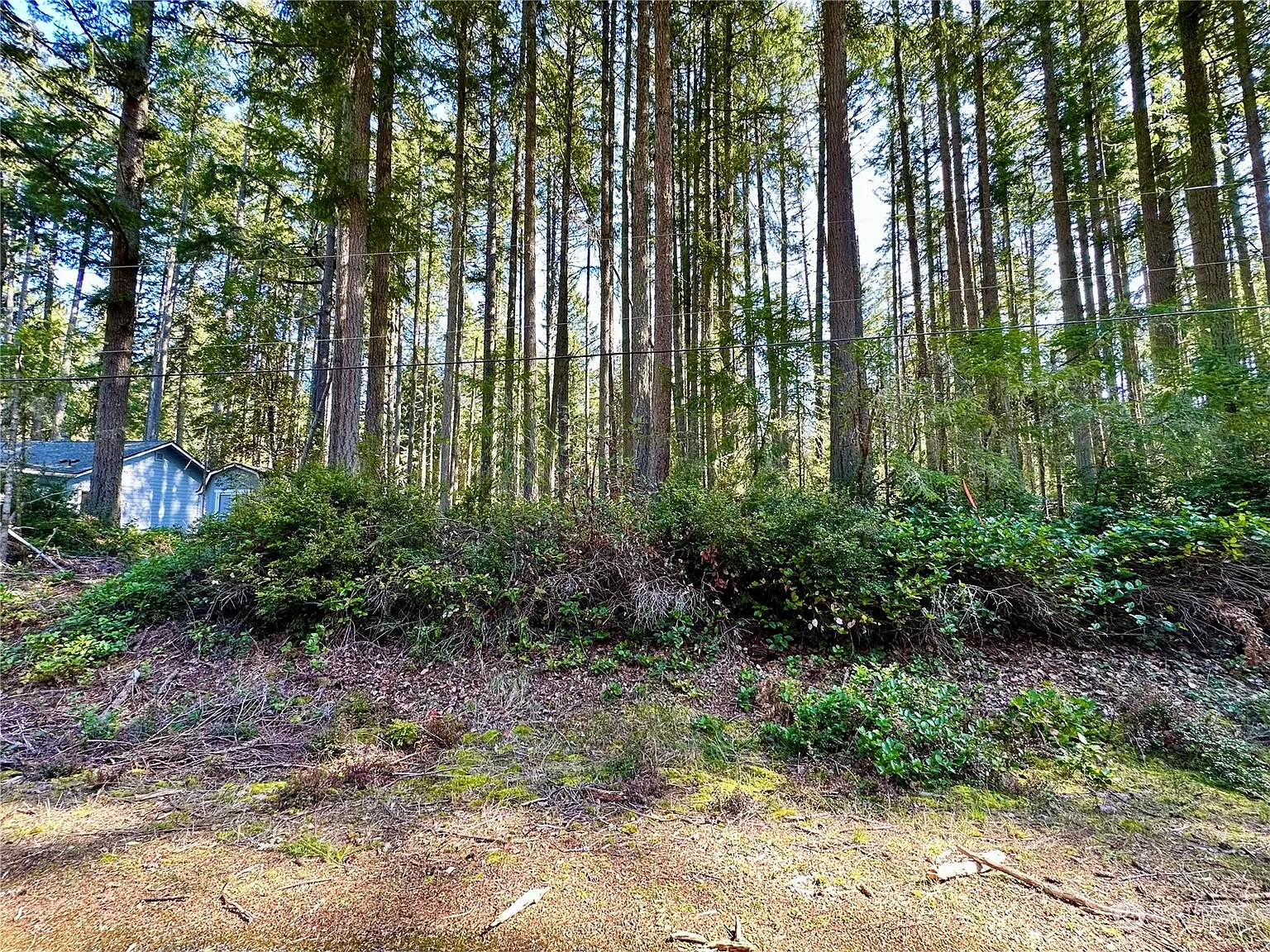 9209 123rd Avenue photo 1
