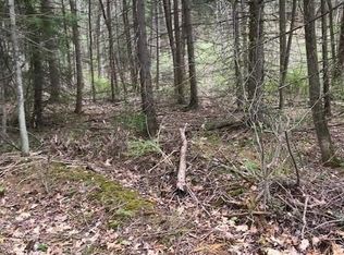 Paddy Mountain Forestry Rd, Millmont, PA 17845