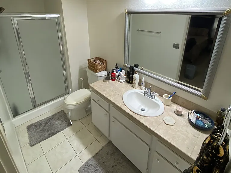 Master bathroom