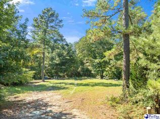 1036 Spring Acres Dr, Darlington, SC 29532