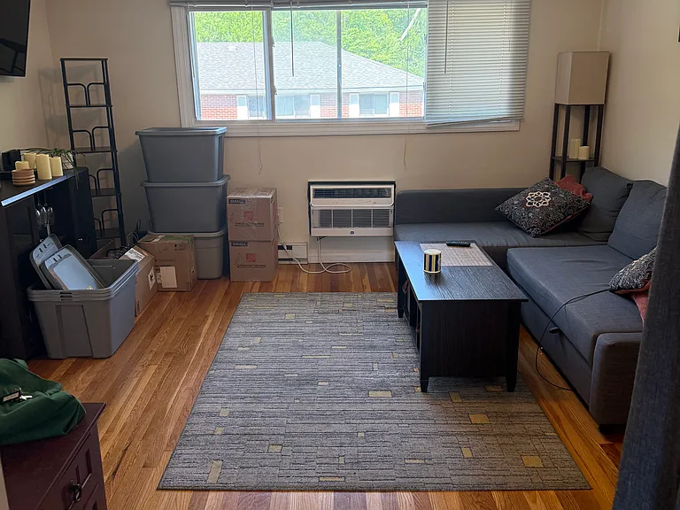 53 Curtis St #5 — Photo 9