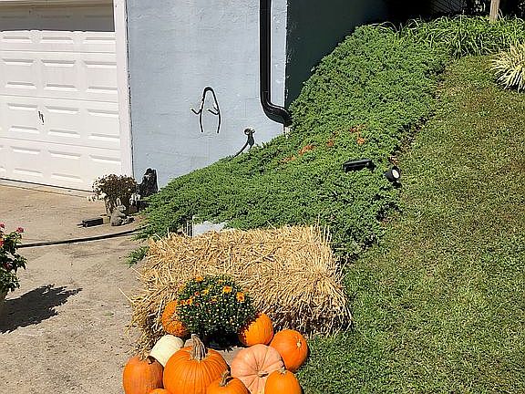 4th image of 498 Forest Hills Dr