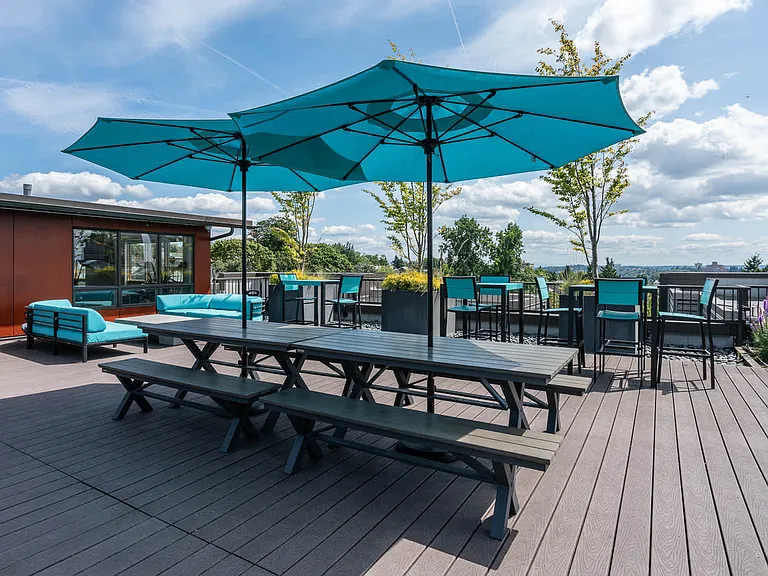 Private Rooftop Deck with Grills and Lounge Furniture
