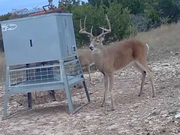 200 County Road 220, Wingate, TX 79566