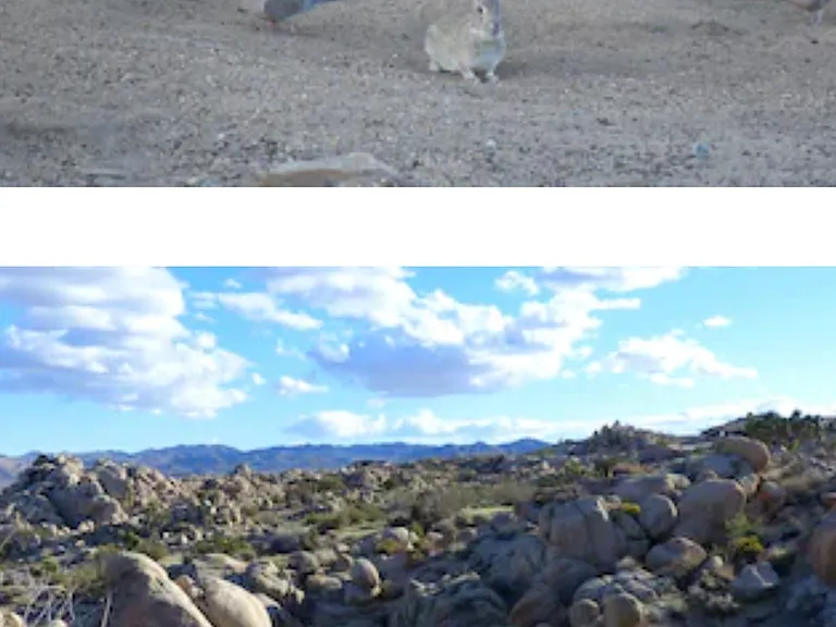 Paisano Ln — Photo 1