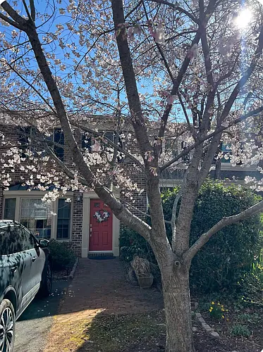 937 Huntwood Ln Photo 1