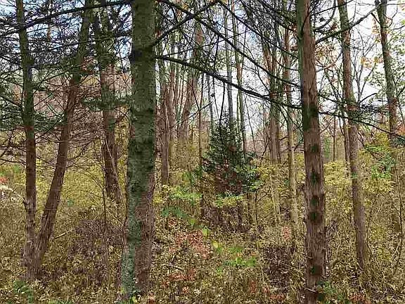 3rd image of Route 44-55