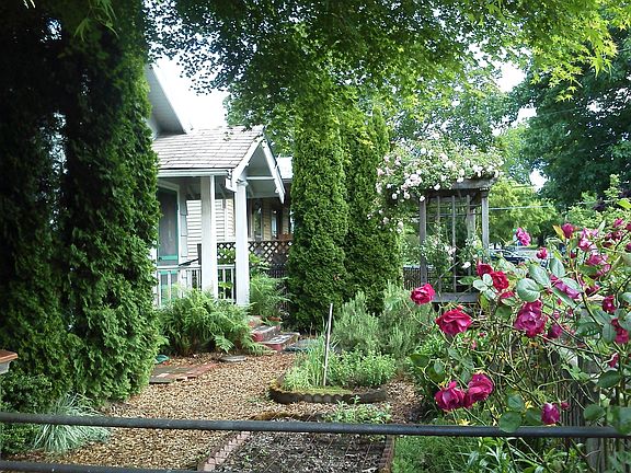 Front yard