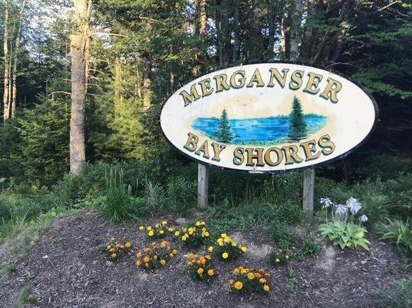 0 Merganser Dr Lot 14, Gouldsboro, ME 04607