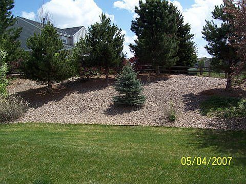 Part of the backyard