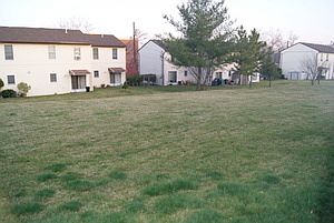 1st image of 318 Littleton Ave