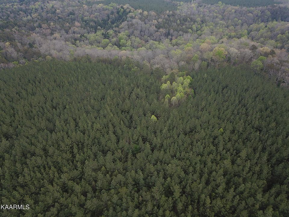 1st image of Newton Ln