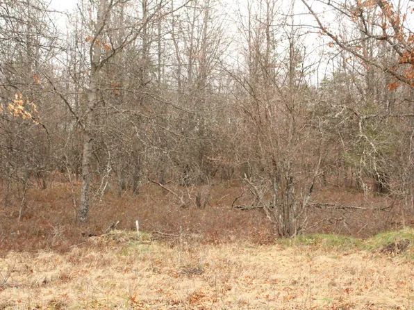 E Jackpine Loop, Mio, MI 48647