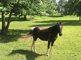 1000 Elkhorn Nobles Rd, Paris, TN 38242