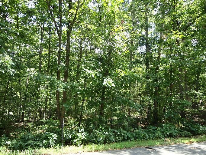 1st image of 402 Tulip Poplar Ln