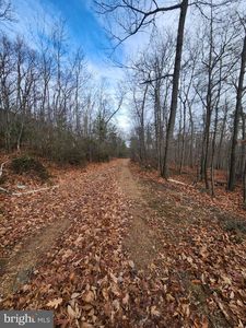 Belwort Trl, Star Tannery, VA, 22654