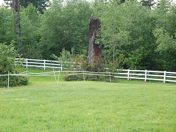 Great Green Pasture with Room to add even more!